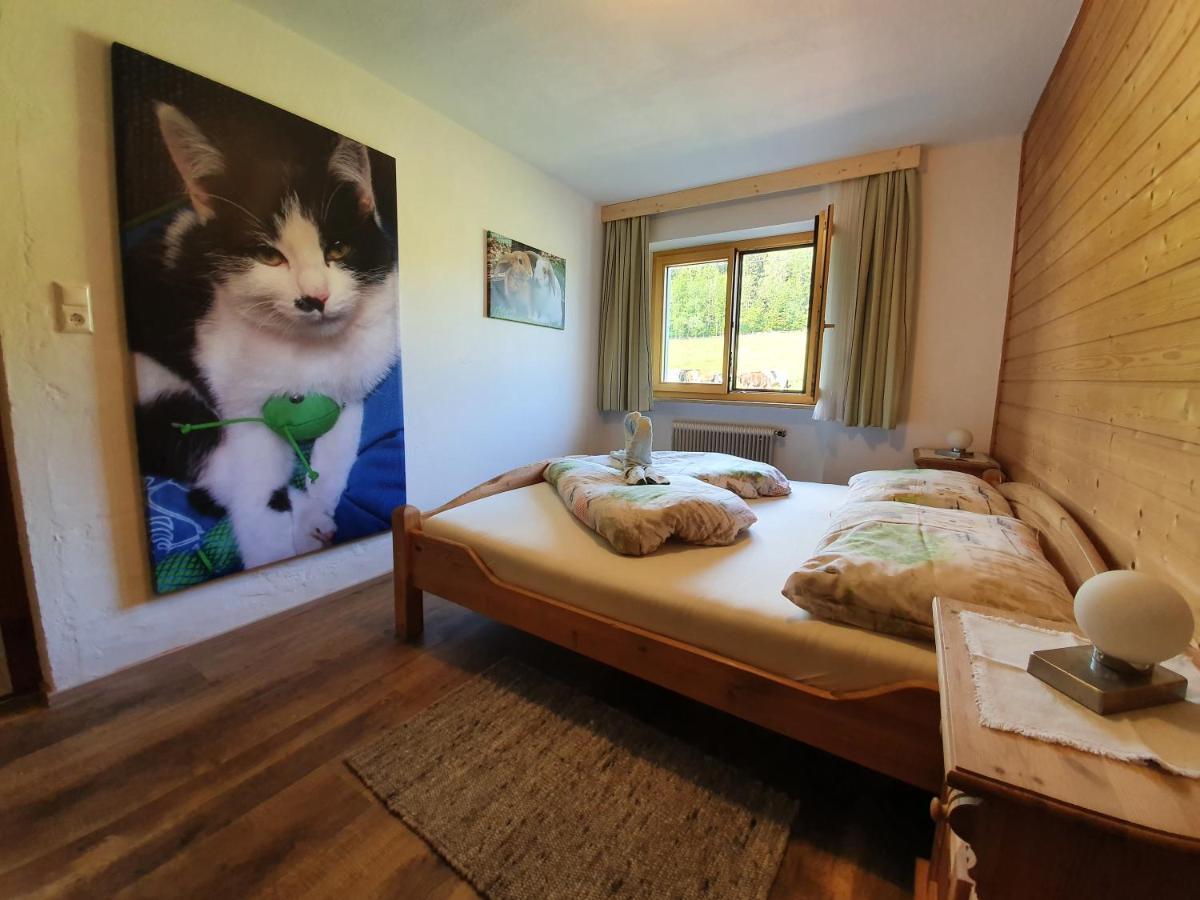Ferienwohnung Stillerhof İnnsbruck Dış mekan fotoğraf
