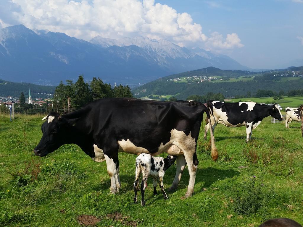 Ferienwohnung Stillerhof İnnsbruck Oda fotoğraf